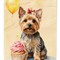 Edge Collections - 28" X 40" - Multicolor - Yorkshire Terrier Happy Birthday Porch Flag - 1 Piece